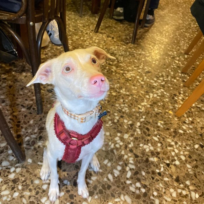 68a39678-c80d-49ea-aedf-eb7e55e74cc1 2