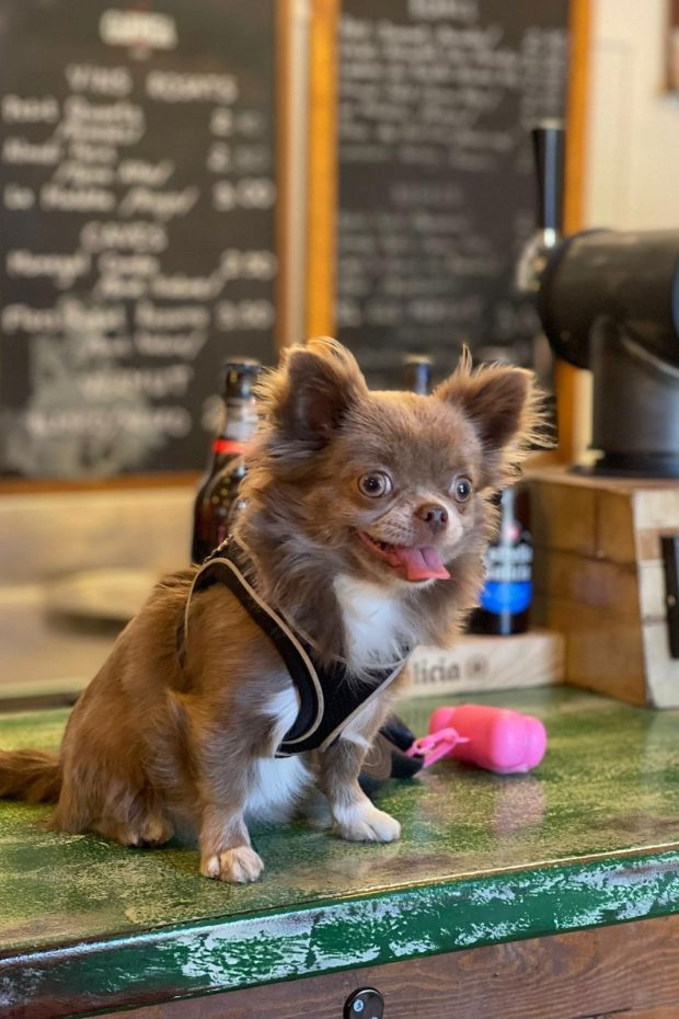 76315873-2580-4d4d-9ca3-689190a353d6 2