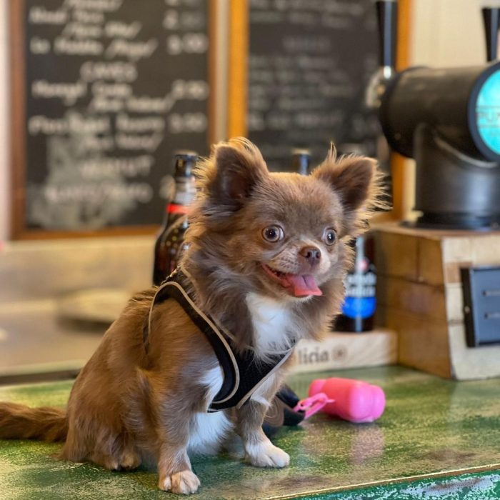 76315873-2580-4d4d-9ca3-689190a353d6 2