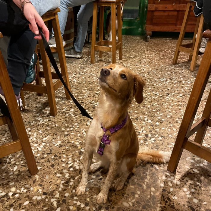 Còpia de WhatsApp Image 2024-02-18 at 13.59.32 (1)