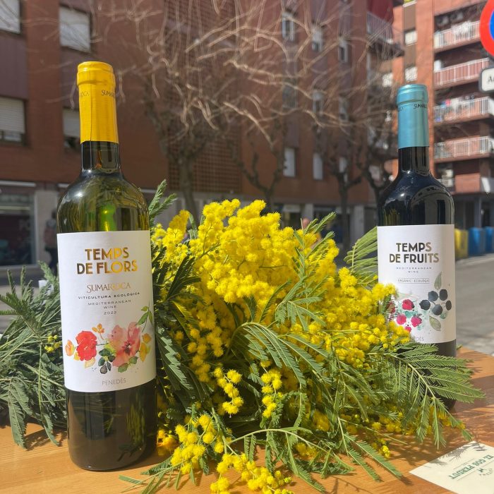 Còpia de WhatsApp Image 2024-02-19 at 08.28.12 (1)