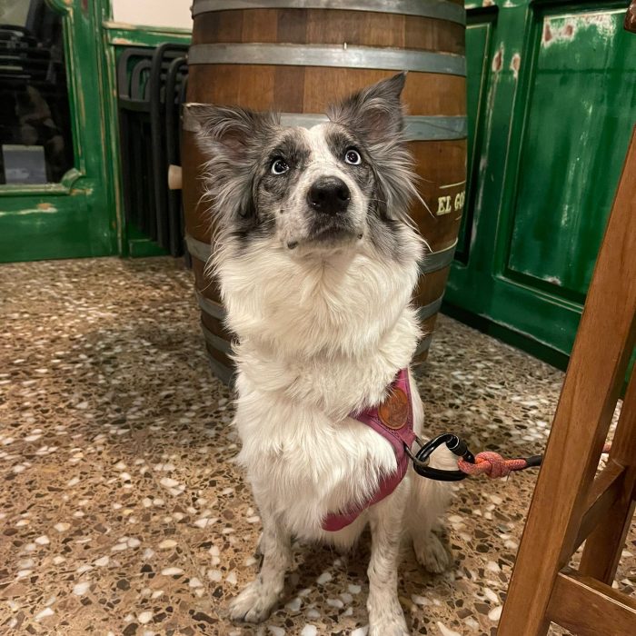 Còpia de WhatsApp Image 2024-02-19 at 08.28.13 (1)